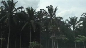 Малайзия. Джохор-Бару. Путешествие Неинтересное видео, про интересную Малайзию)))).