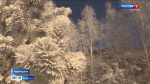 Из Черёмушек до смотровой площадки Саяно-Шушенской ГЭС теперь можно прогуляться по набережной