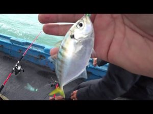 Морская рыбалка Нячанг