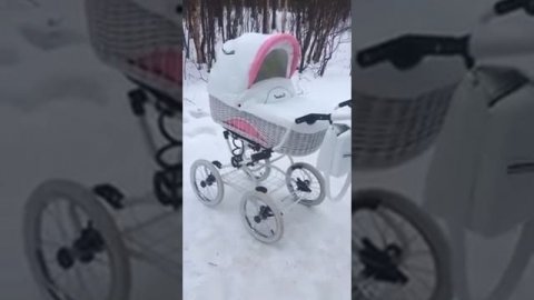 Видео покупателя Reindeer Prestige Wiklina W-3