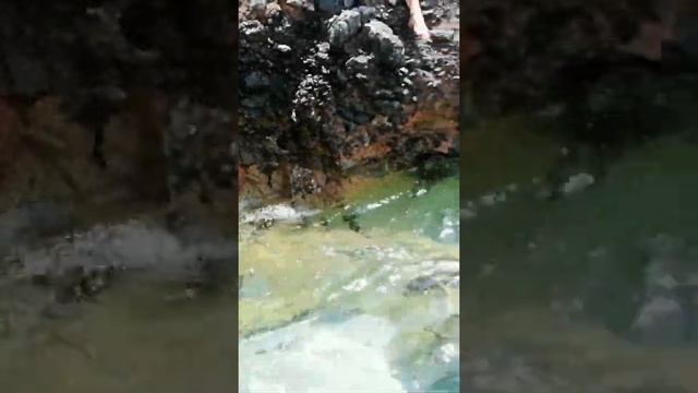 #фитнес #тур #аланья #fitness #tour #alanya смотреть онлайн