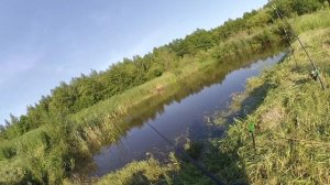 Гиганты домашнего пруда. Ловля Карася и Карпа на поплавок Летом. Рыбалка на домашнем пруду!!!