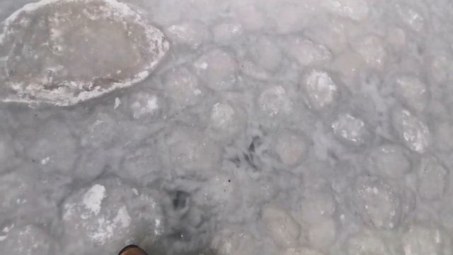 269 Переезд с севера на юг из города в деревню / Нашли каток рядом с домом / Зимний лиман