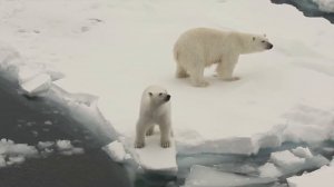 заполярный круг