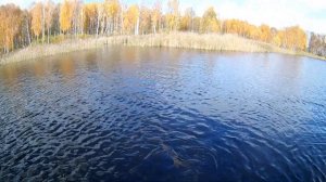 Щука на 3 кг на воблер Kosadaka Intra XS 95F Часть 1