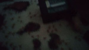 14/03/2024 20:46