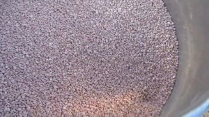 самодельный разбрасыватель удобрений (РУМ)на мототрактор Зубр12лс/Disc Spreaders mineral fertilizer