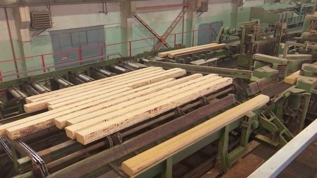 На лесоперерабатывающем предприятии Братска началась реализация нацпроекта Производительность труда