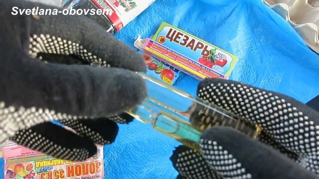 СРОЧНО ОПРЫСКИВАЕМ ЯБЛОНЮ -после цветения от плодожорки URGENTLY SPRAY JABLOON смотреть онлайн