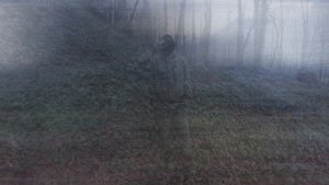 Боевая акробатика