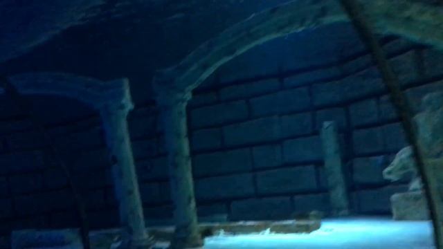 Самый быстрый обзор Аквариум Анталия 2021 КОРОНАВИРУС эпохи смотреть онлайн