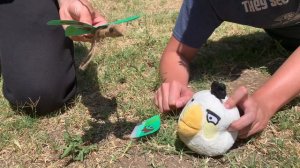 Angry Birds Toons (Plush Version) - Season 1: Ep 43 - "The Butterfly Effect"