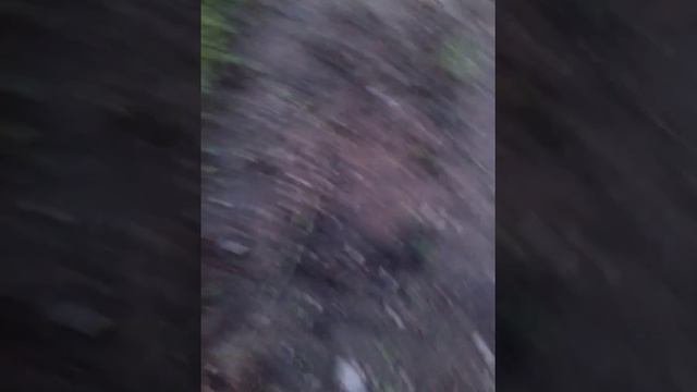 Очковола лазить неповторять это зависит для вашой безопасности