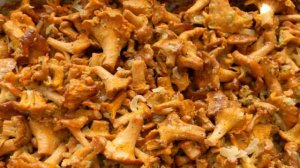 Лисички, запеченные в сметане