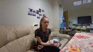 Как я стала хендлером? Кто же такой хендлер??