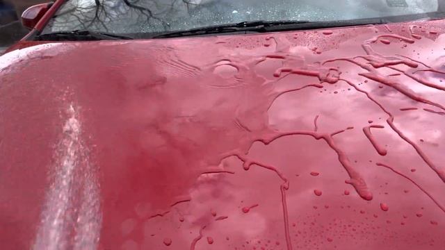 Zirconite (2Week Update)/ Graphene Infused Sprayable Coating/ Auto Detailing/ Tesla смотреть онлайн