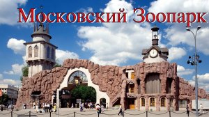 Московский зоопарк- животные в Московском зоопарке радуют посетителей