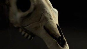 Долговязая Лошадь|Long Horse| Интересные факты