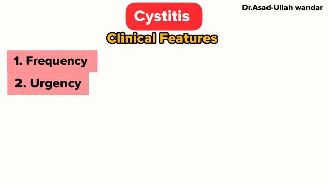 What is Cystitis?||Causes||Risk Factors||Signs and Symptoms||Treatment смотреть онлайн