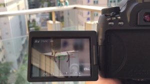 Canon EOS 77D Live View with AF-S