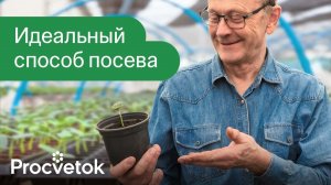 ОГУРЦЫ ВСХОДЯТ ЗА СУТКИ! Секрет посева семян на рассаду от огуречного фермера