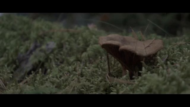 Sony Alpha 5100 Tryouts (pt.1) смотреть онлайн