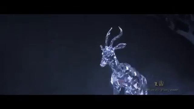 волшебный мир