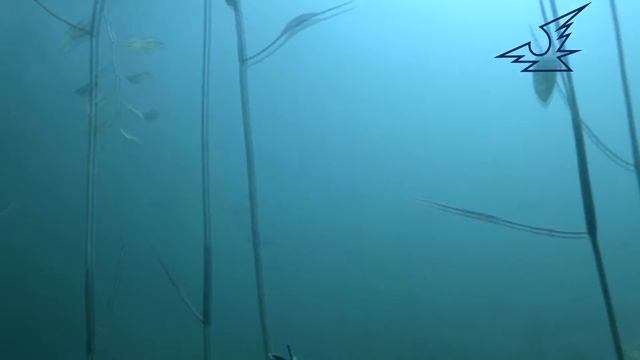 Подводные пейзажи оз Увильды смотреть онлайн