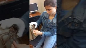 МК по плетению кашпо из ротанга (плетение на каркасе)