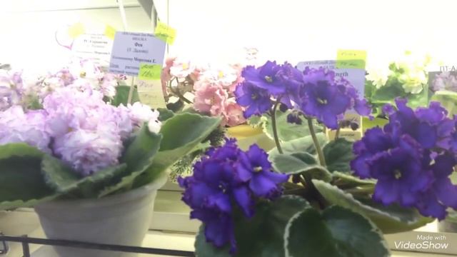 Выставка в ДФ с 23 марта смотреть онлайн