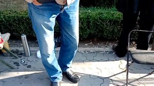 Куры Кохинхин голуби крюковские на бульваре Пушкина 28 сентября 2019