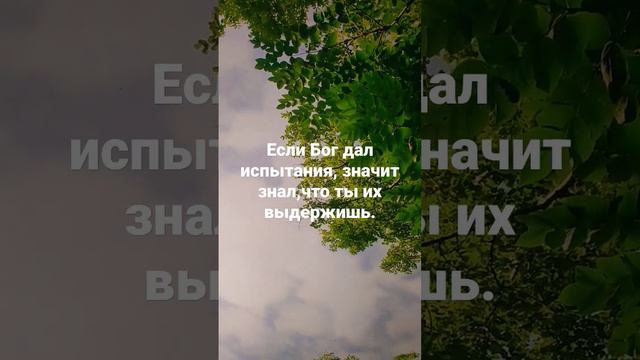 Если Бог дал испытания, значит знал,что ты их выдержишь.