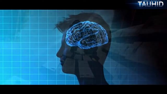 корабль Единобожников смотреть онлайн