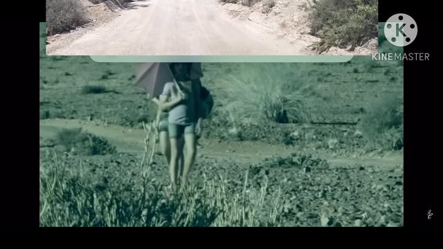 ЭТА ИСТОРИЯ МЕНЯ ПОТРЯСЛА .ЧТО МОЖЕТ ПРОИЗОЙТИ ЕСЛИ....... ЖАРА , КАКТУСЫ , АРИЗОНА . смотреть онлайн