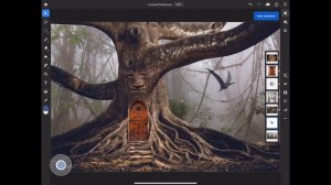 Get to Know Photoshop on iPad | Adobe Creative Cloud