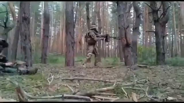 львы Аллаха смотреть онлайн