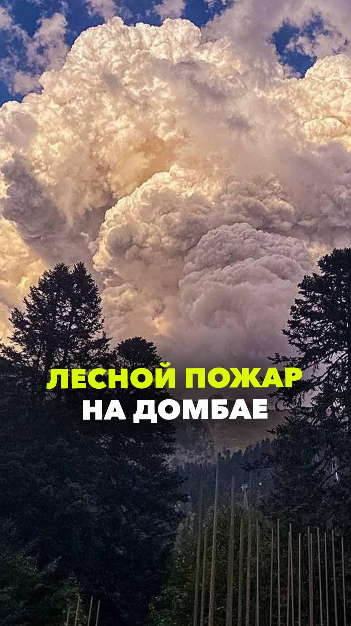 Лесной пожар на Домбае: огромное облако дыма над Гоначхирским ущельем