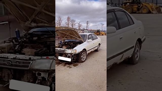 Ждет своего часа малыха? #toyota #corona #toyotacorona #автоподбор #авто #jdm #auto #сахалин #st190