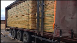 Возим ёлки палки, Архангельский лес! ТалисМАН не подводит)