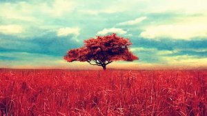 [1 Час] Исцеляющая музыка для медитации на Тамбуру - Корневую чакру | Звуки Таанпуры