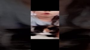 лиса пробует крабовою палочку