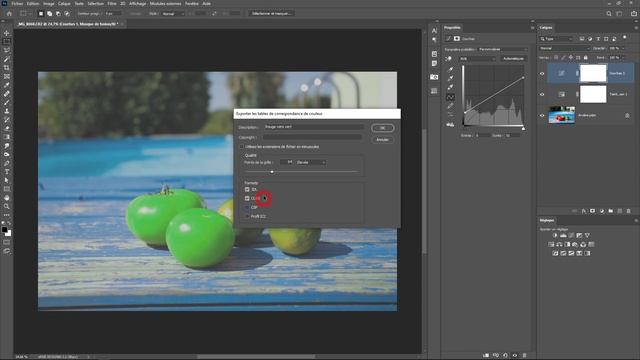 Tutoriel Photoshop comment créer et exporter une LUT смотреть онлайн