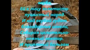 Голубые глаза у весеннего неба! красивые стихи!