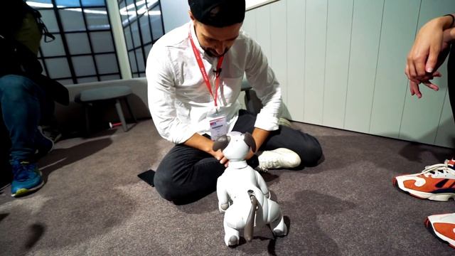 Aibo  - что умеет робот-собака от Sony?