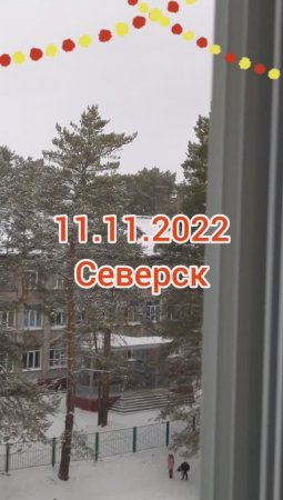 11.11.2022 Северск/Тепло, снега ещё мало, а голуби готовятся к Новому году ?