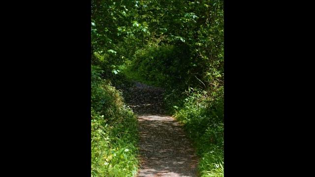 Garden of Eden, Deer park Howth, Dublin Ireland смотреть онлайн