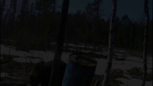 Охота на медведя 22 Привада с одной бочкой.