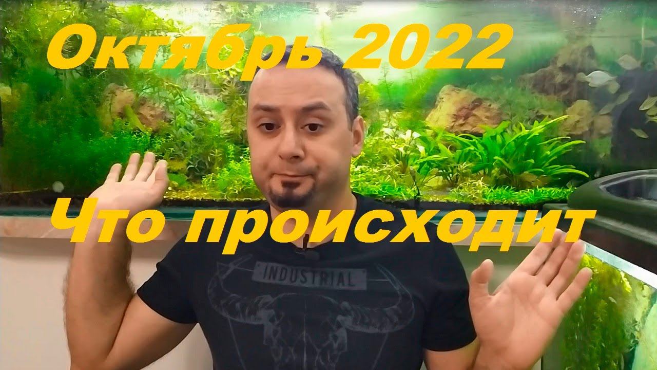 Аквановости на октябрь 2022. (Архив от 15.10.2022)