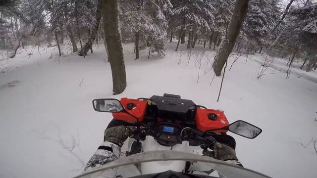 Stels Leopard 600 лесо-полевой прохват смотреть онлайн