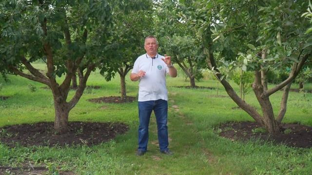 Дачные работы с 7 по 14 июля. Что нужно сделать в ближайшие 7 дней.